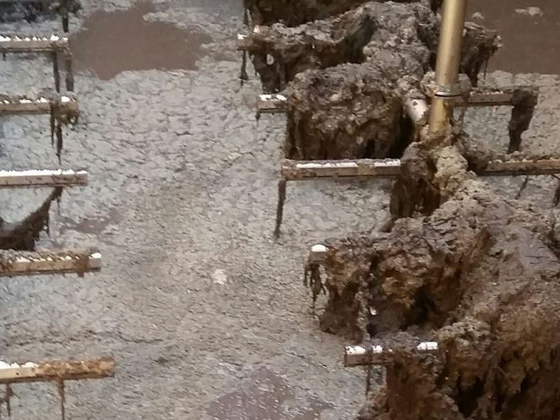 20180910_132617_1539616682370_resized